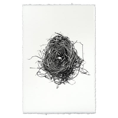 Nest Study Prints