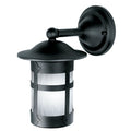 Holly Fixed Arm Mount Sconce with 8.5" Roof 103-8