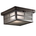 Bridgeview Ceiling Mount 16.75" x 10.75" Body 1046-5