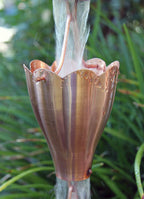 XL Scallop Cup Copper Rain Chain
