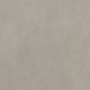 Alameda Gray Matters Leather