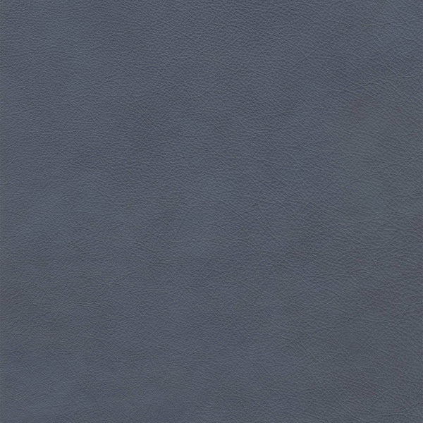 Alameda Tradewind Leather