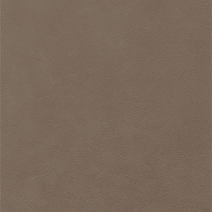 Solid brown color swatch