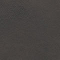 Antonio Bark Leather