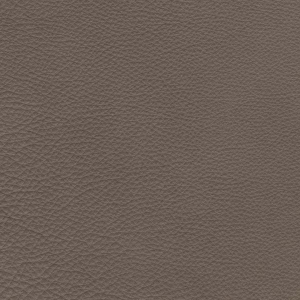 A close-up of a textured material swatch in a warm taupe-brown color, showing a fine pebbled grain pattern.