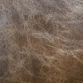 Average Brown (L070) Aniline Leather