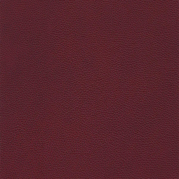 Bianca Ticca Leather