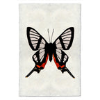 Butterfly Study Print #9