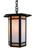 Pendant light fixture with black frame and glass cover on a white background