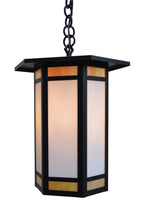 Pendant light fixture with black frame and glass cover on a white background
