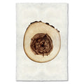 Elm Tree Ring Print
