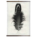 Grand Format Feather Study Print #3 with wood Hanger