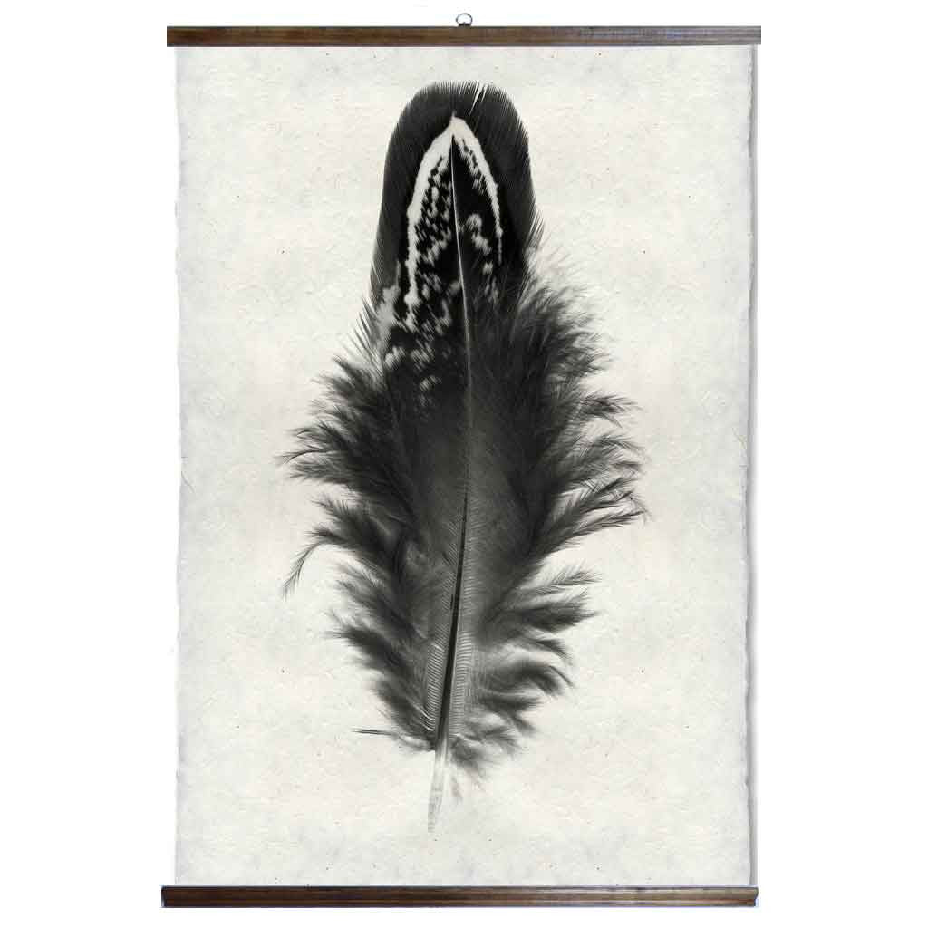 Grand Format Feather Study Print #3 with wood Hanger