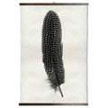 Grand Format Feather Study Print #5 with wood Hanger