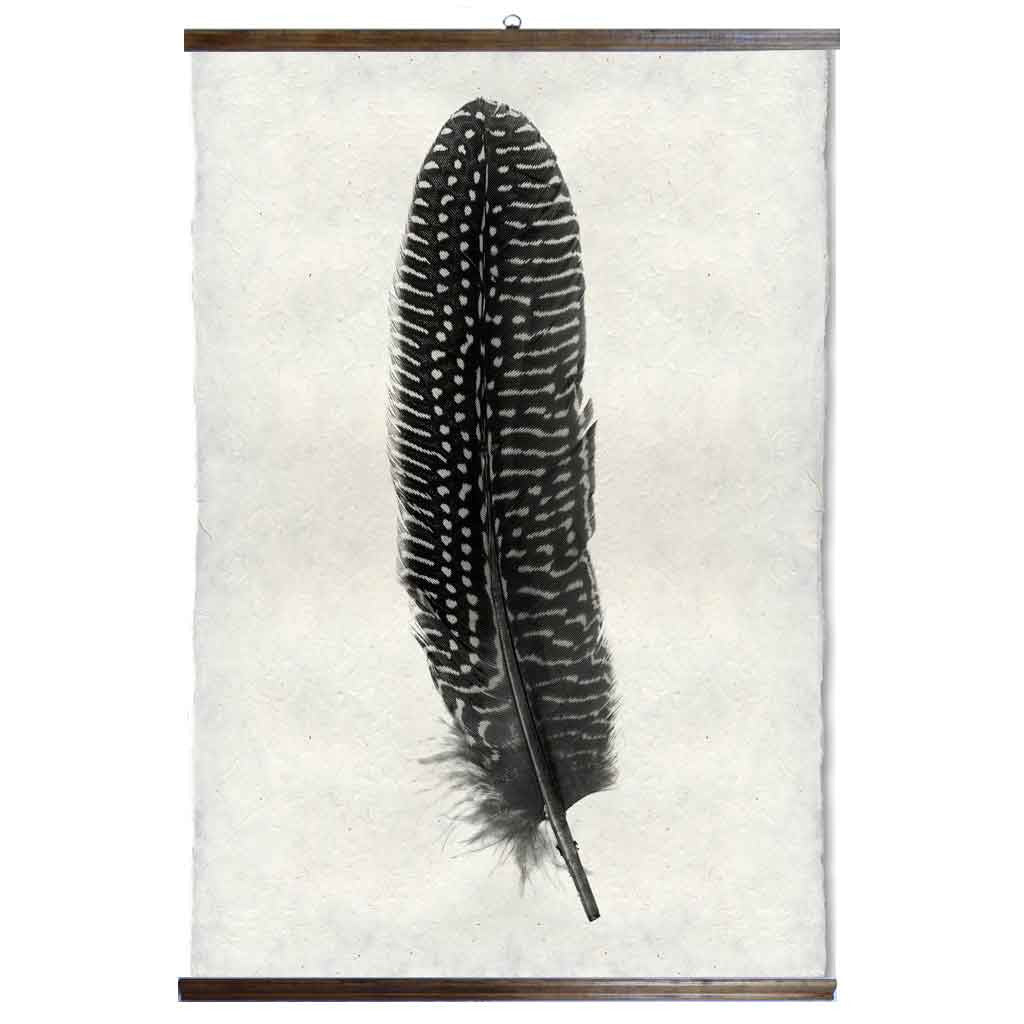 Grand Format Feather Study Print #5 with wood Hanger