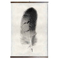 Grand Format Feather Study Print #7 with wood Hanger