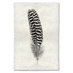 Feather Study Print #13 Mottled Peacock (Wing Quill)