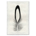 Feather Study Print #14 Lady Amherst Pheasant (Tippet)