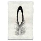 Feather Study Print #14 Lady Amherst Pheasant (Tippet)