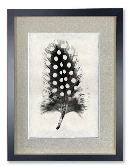 Feather Study Print #1 Guinea Fowl Feather