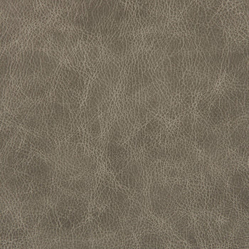 Fossil