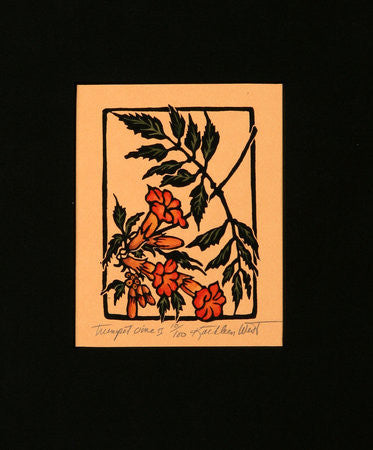 Trumpet Vine II