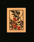 Trumpet Vine II