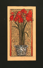 Amaryllis Print