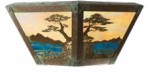 Monterey Cypress  MC