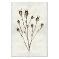 Natural Form Bulb Print