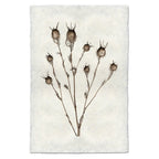 Natural Form Bulb Print