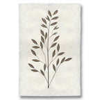 Natural Form Burr #2 Print
