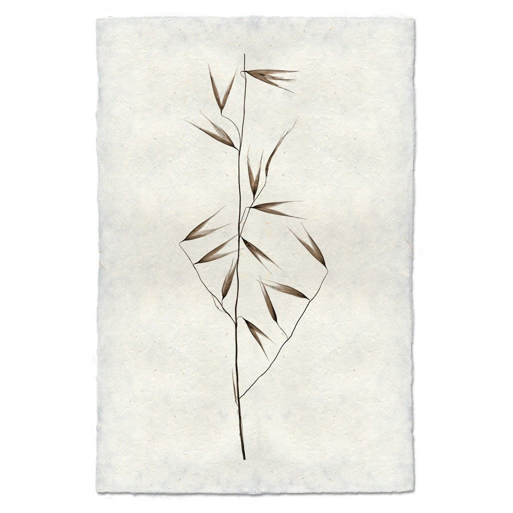 Natural Form Burr #1 Print