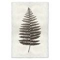 Natural Form Fern #1 Print