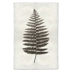Natural Form Fern #1 Print
