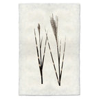 Natural Form Grass Print