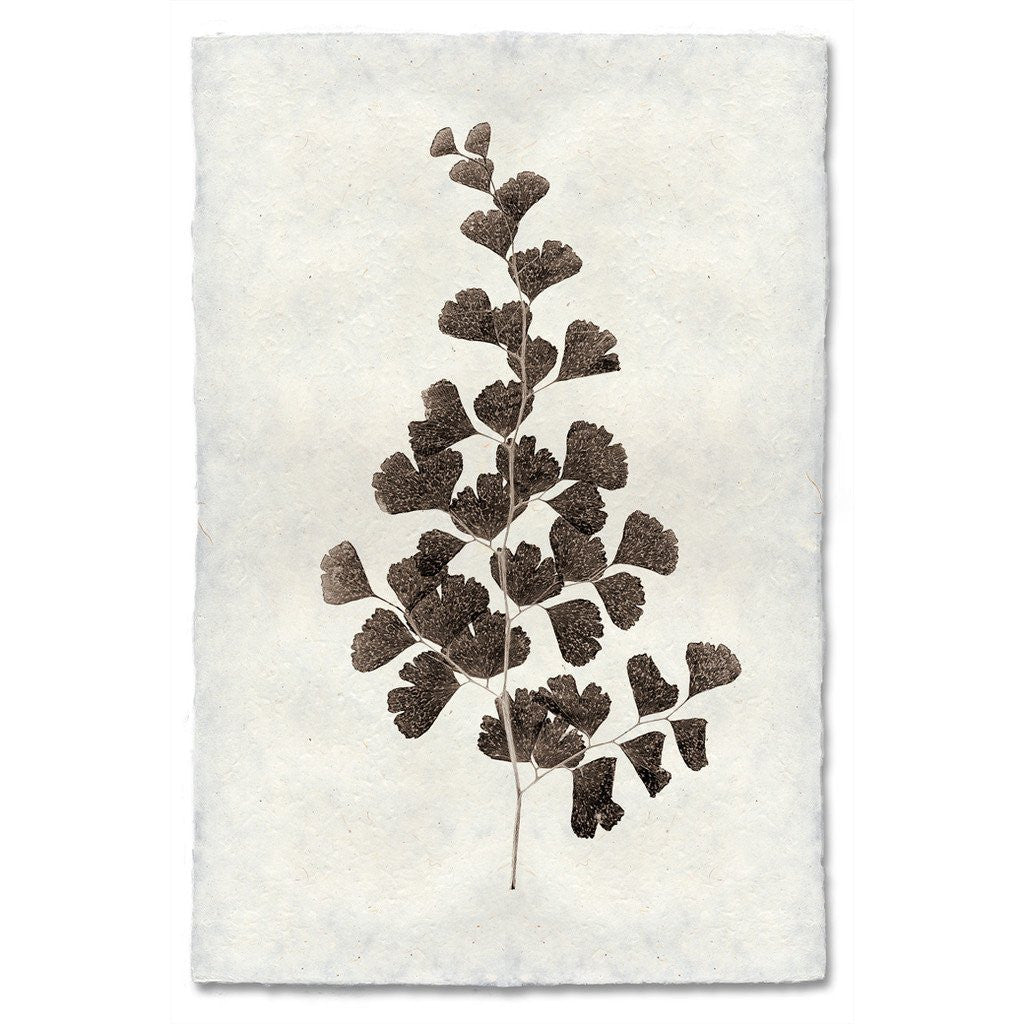 Natural Form Leaf Study #1