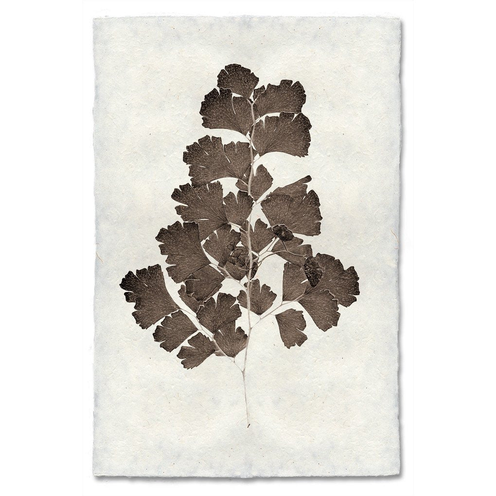 Natural Form Leaf Study #2