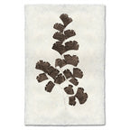 Natural Form Leaf Study #3