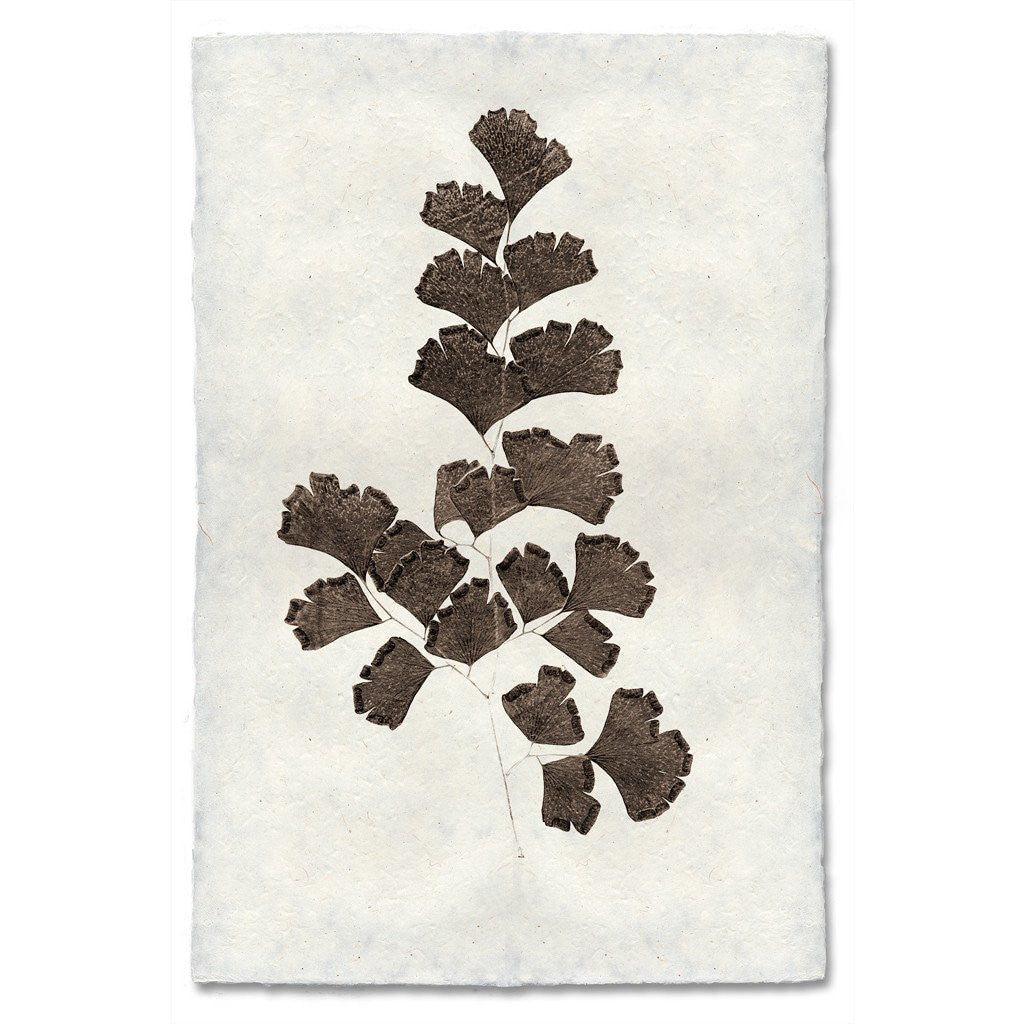 Natural Form Leaf Study #3
