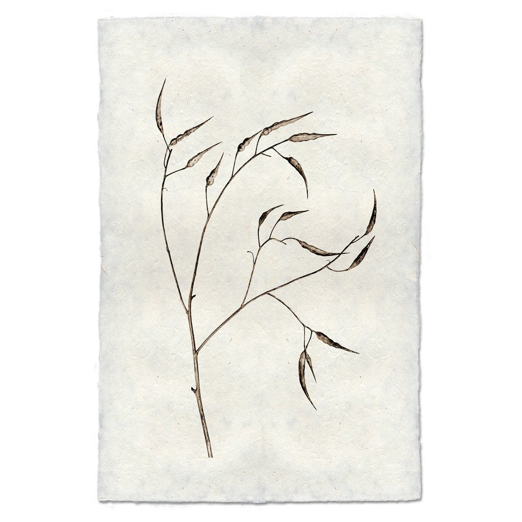 Natural Form Pepper Print