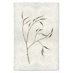 Natural Form Pepper Print
