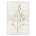Natural Form Wheat Print