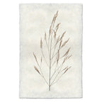 Natural Form Wheat Print
