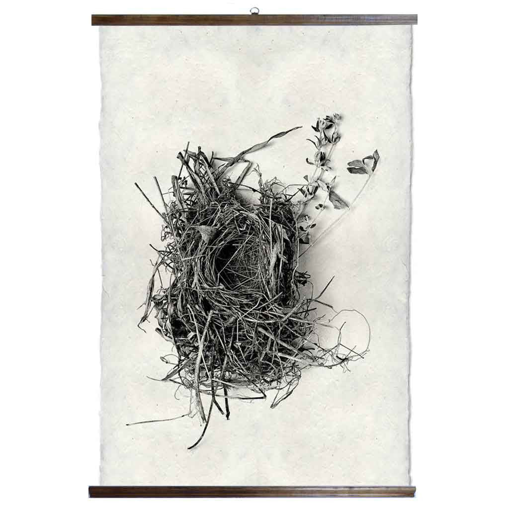 Grand Format Nest Study #1 Print  with wood Hanger