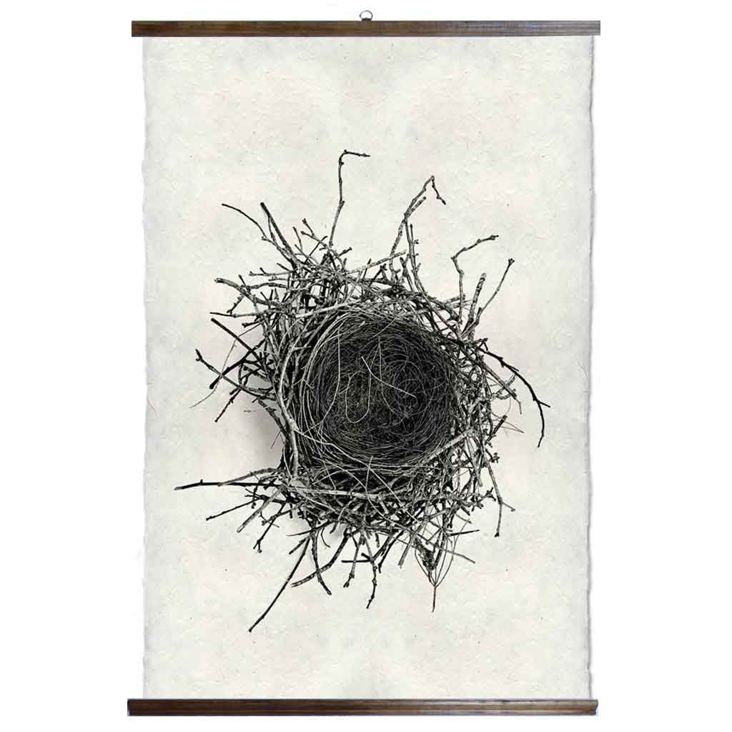 Grand Format Nest Study #2 Print  with wood Hanger