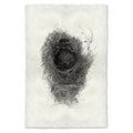 Bird Nest Study Print #6