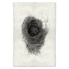 Bird Nest Study Print #6