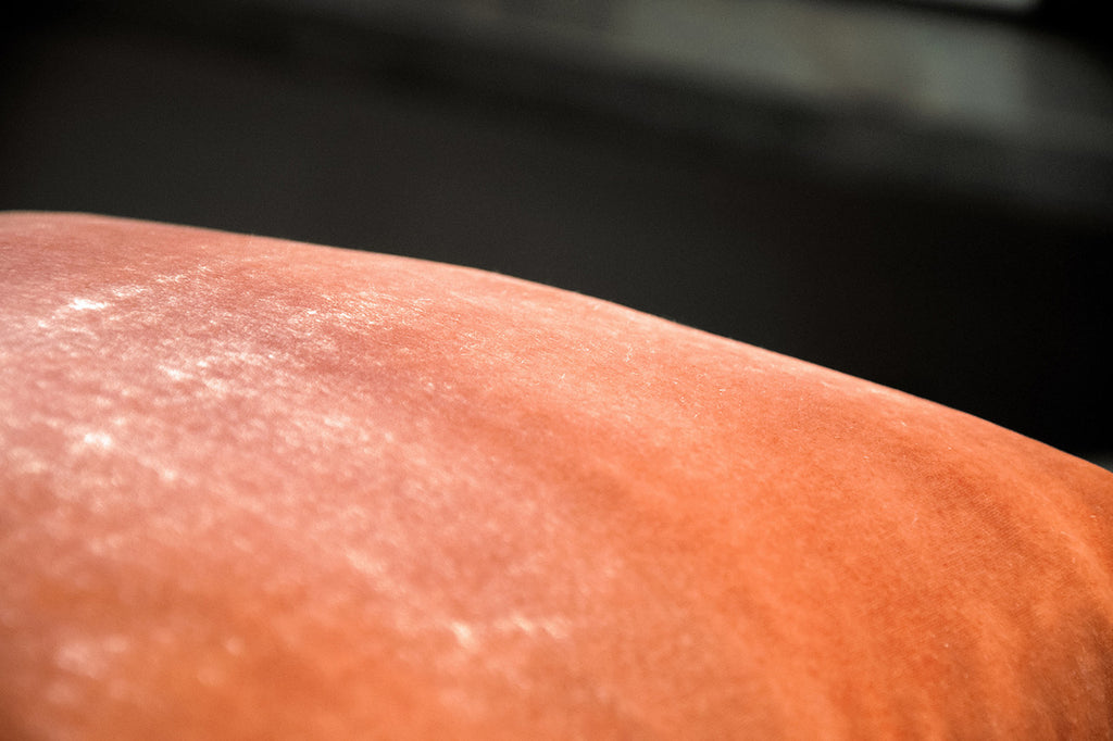 Mango Ombre Velvet Pillow By Kevin O'Brien Studio