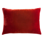 Wildberry Velvet Pillow By Kevin O'Brien Studio